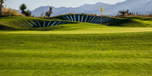 NCCGA national championship (3)