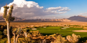 NCCGA national championship