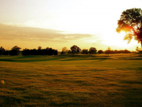 The Bear College Golf Club Shootout