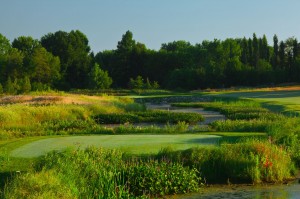 purdue_college_golf_2013