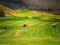 Little Steps To Growing Golf