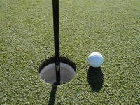 Got a Golf Career?