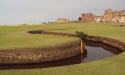 The St Andrews Experience 2014