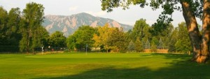 Flat irons