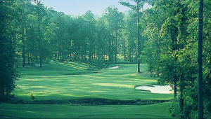 College Golf Dancing Rabbit