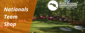 Dancing Rabbit Team Shop Banner