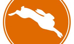 Fall 2014 NCCGA National Championship Preview