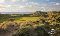 Top 3 Companies to Work for in Golf