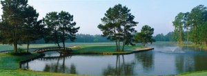clubs of kingwood