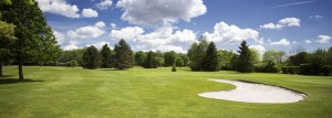links at dardene in st. louis