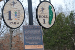 Payne Stewart Hole