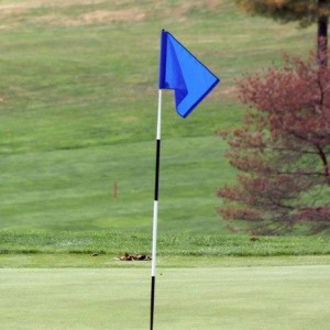 golf course pin flag