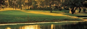 Golf Course in Texas
