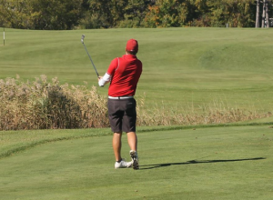 iowa state david stein nccga nextgengolf