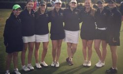 Intrepid Golfer: Women in Golf