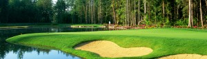 golf club at Redmond Ridge in washington