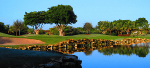 jacaranda golf club in florida