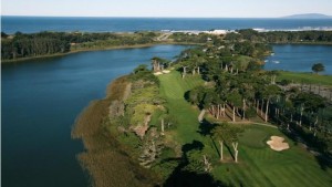 tpc harding park bay area golf course
