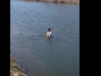 Club Golfer Climbs in Water to Retrieve Golf Ball