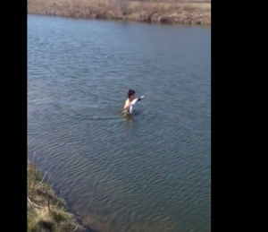 club golfer climbs in water