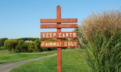 How to take relief from cart path