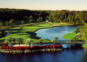 Disney's Palm Golf Course