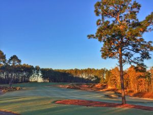 #11 Tobacco Road