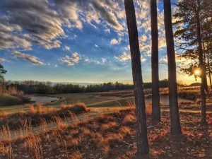#12 Tobacco Road