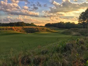#18 Tobacco Road