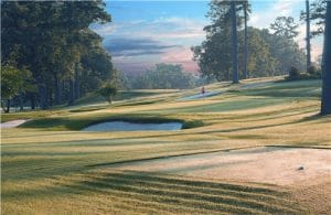Hot Springs tee box