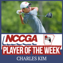 Charles Kim player of the week NCCGA