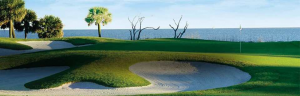 Palmetto Dunes golf